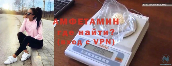 МДМА Каменка