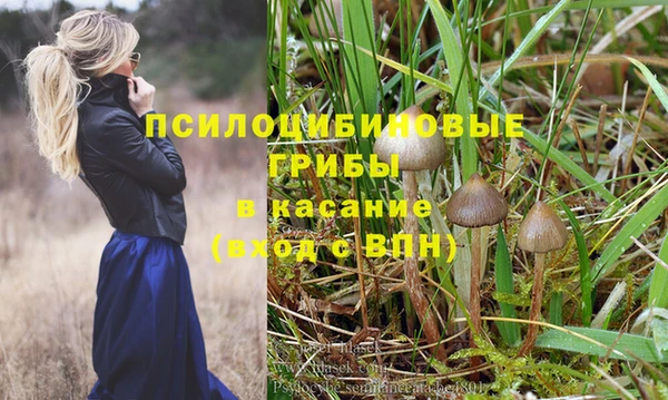 МДМА Каменногорск